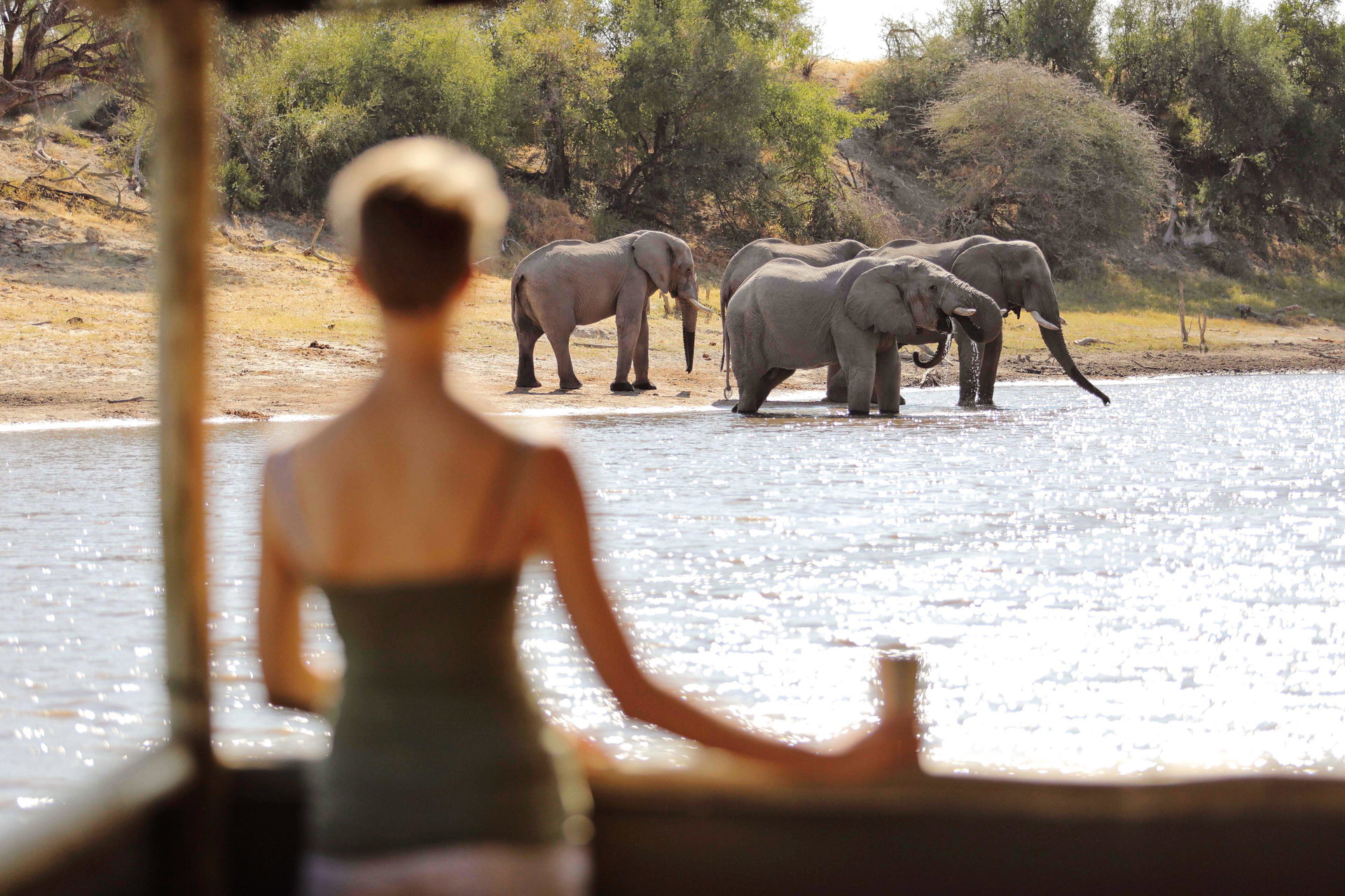 A guest in the floating hide watching elephants at the Boteti River