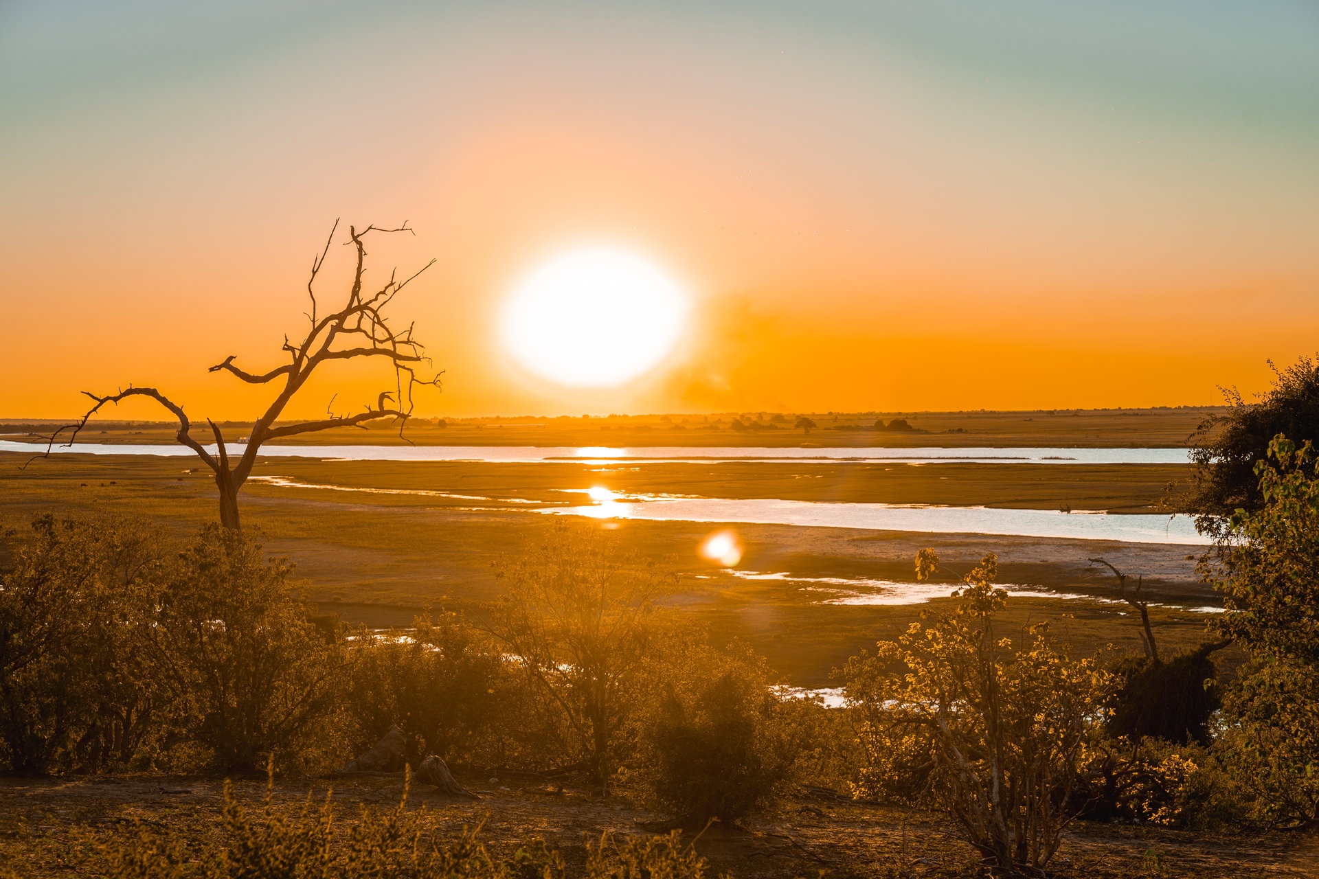 The sun setting over the water and a dead tree on a Tlouwana outing