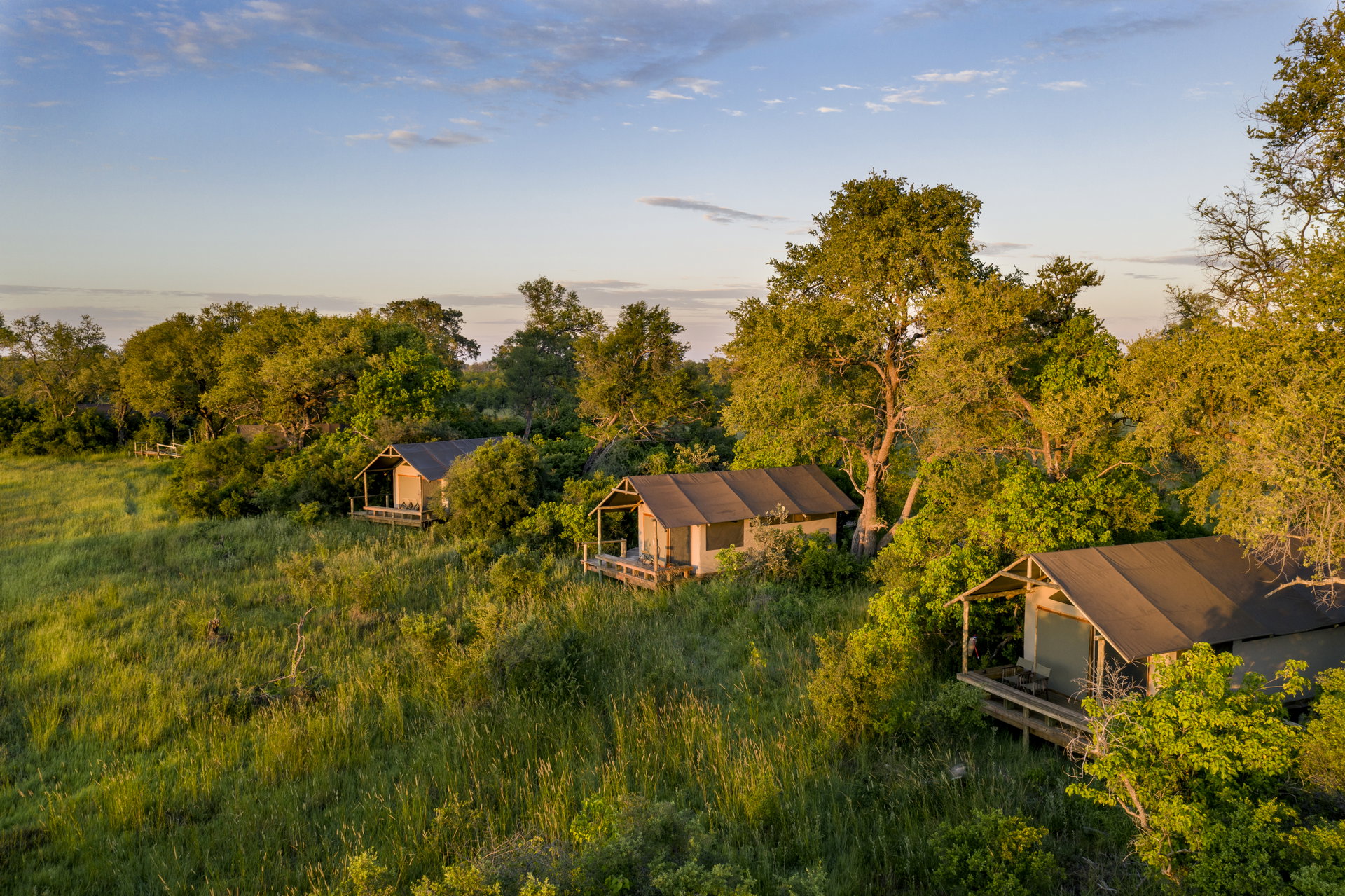 The tents of Little Sable among the trees on the edge of the Khwai grasslands