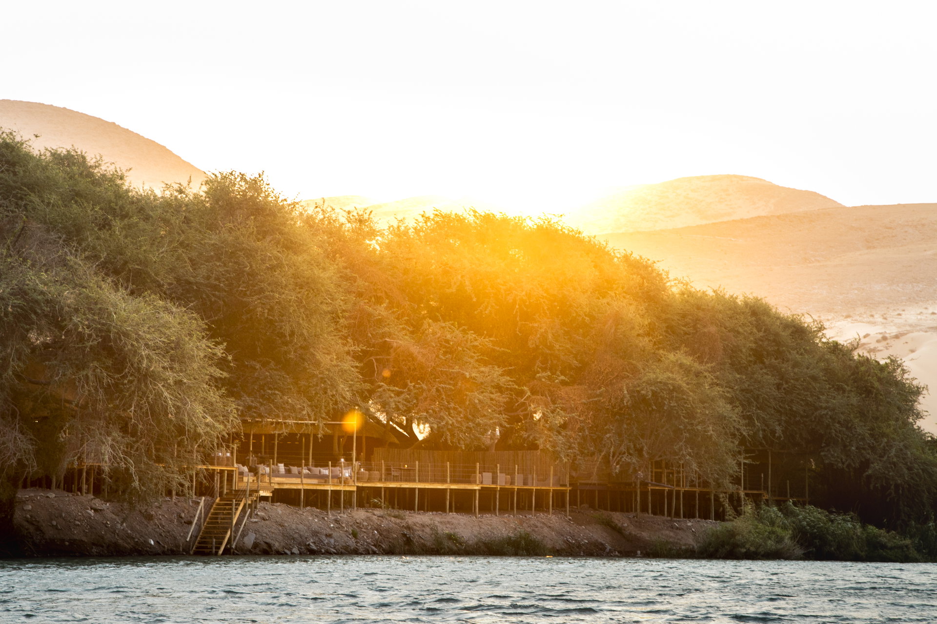 Serra Cafema in the riverside trees at golden hour