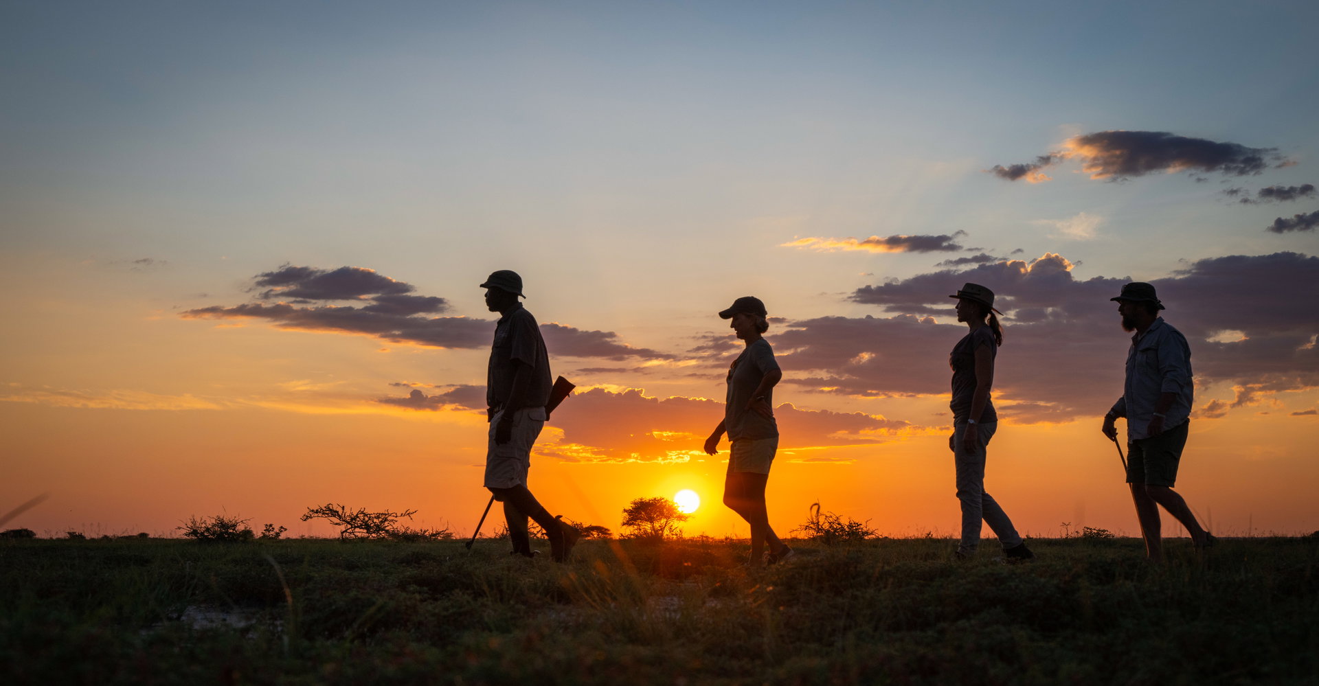 Guests walking in single file at sunset on the Onguma trails
