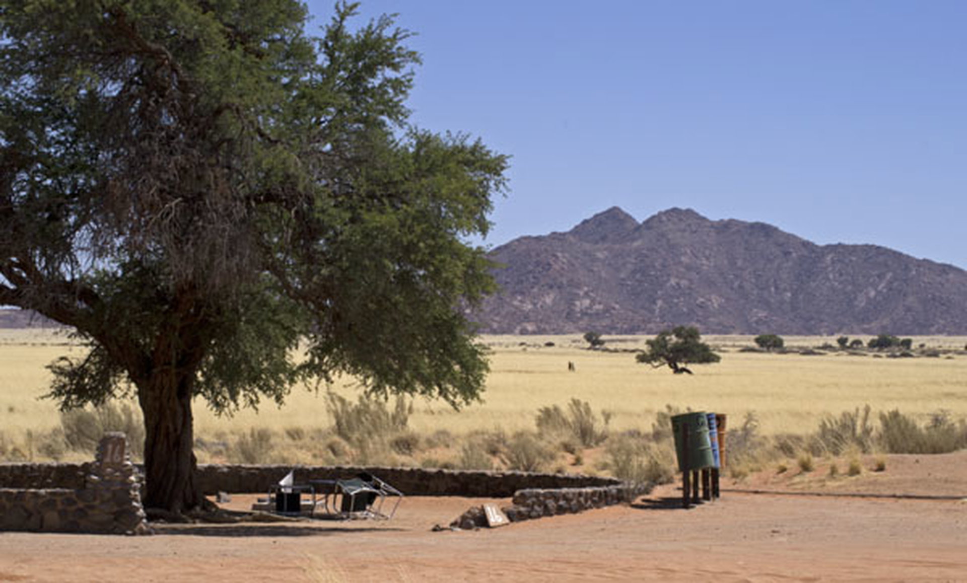 A shaded campsite with a camel thorn tree and mountains behind it at Sesriem