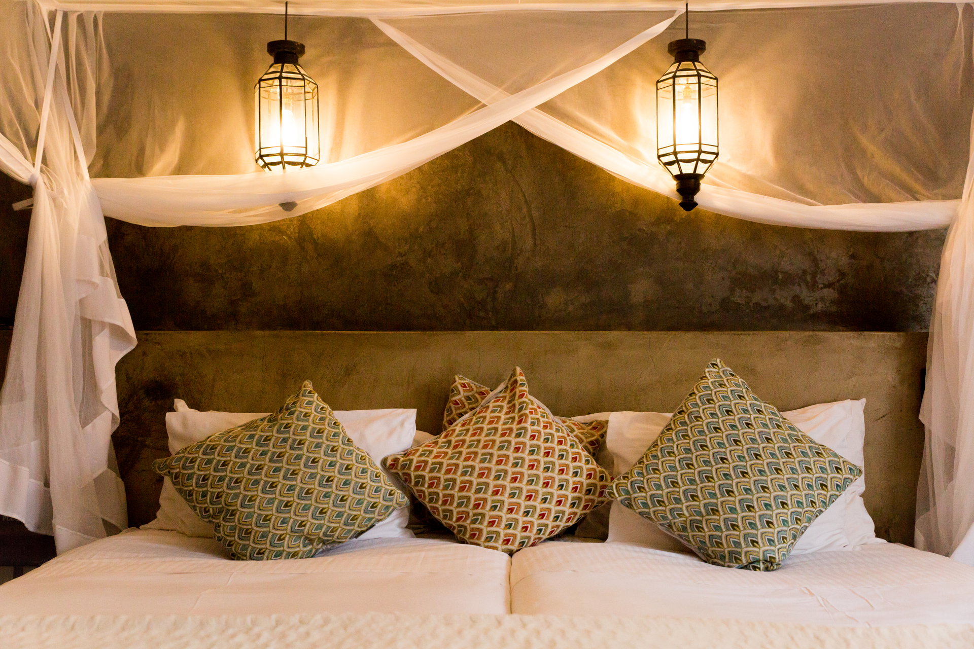 Olive Grove Guesthouse — Terrace Suite