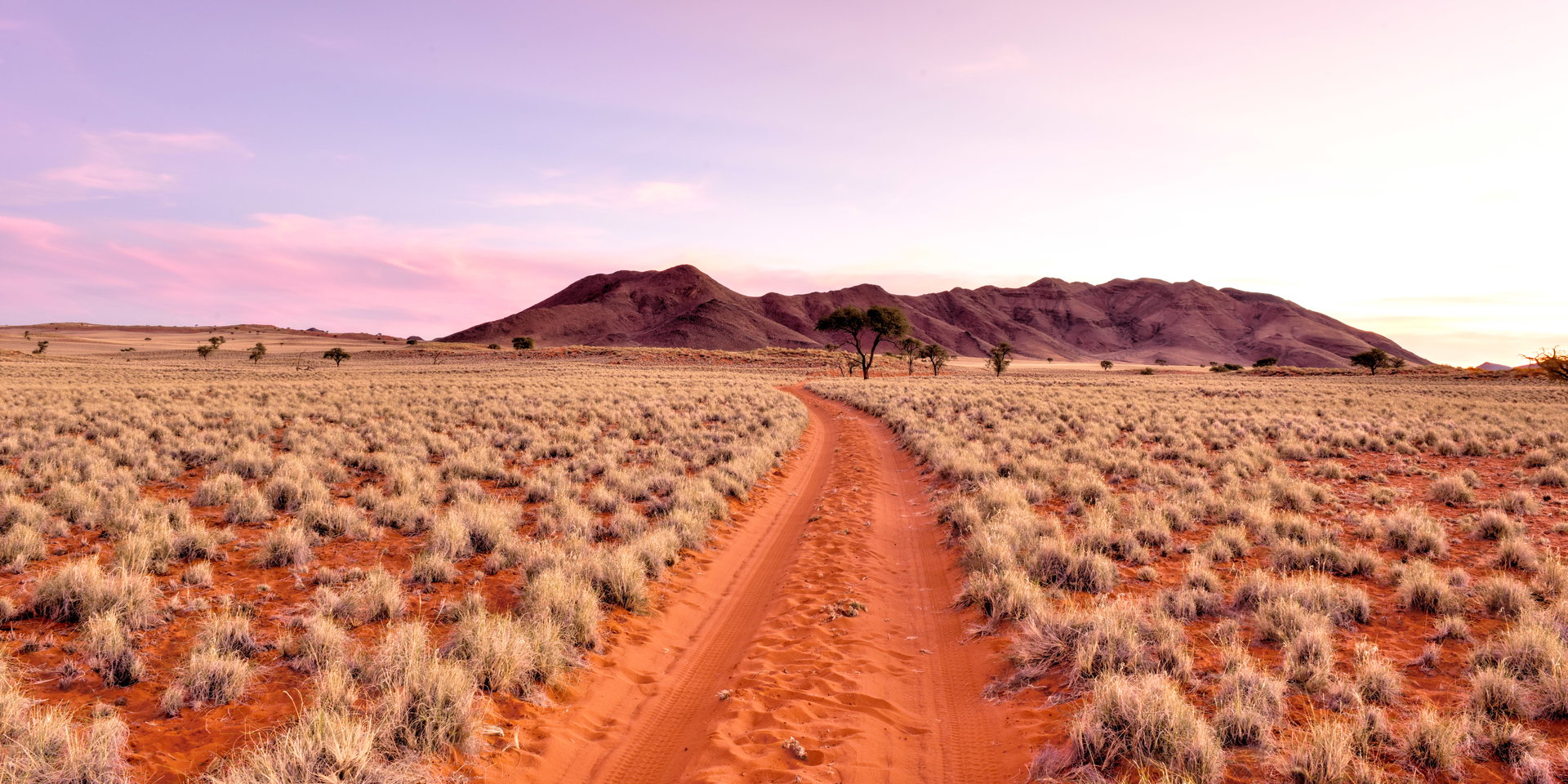 A red sand track runs through golden grassland towards a distant mountain at dawn.