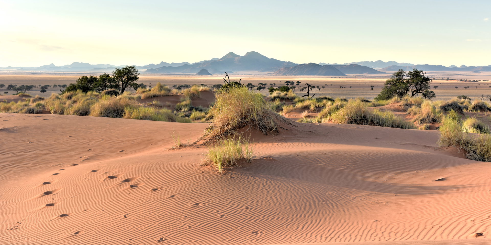 Rippled red sand dunes with tufts of grass and mountains on the horizon.