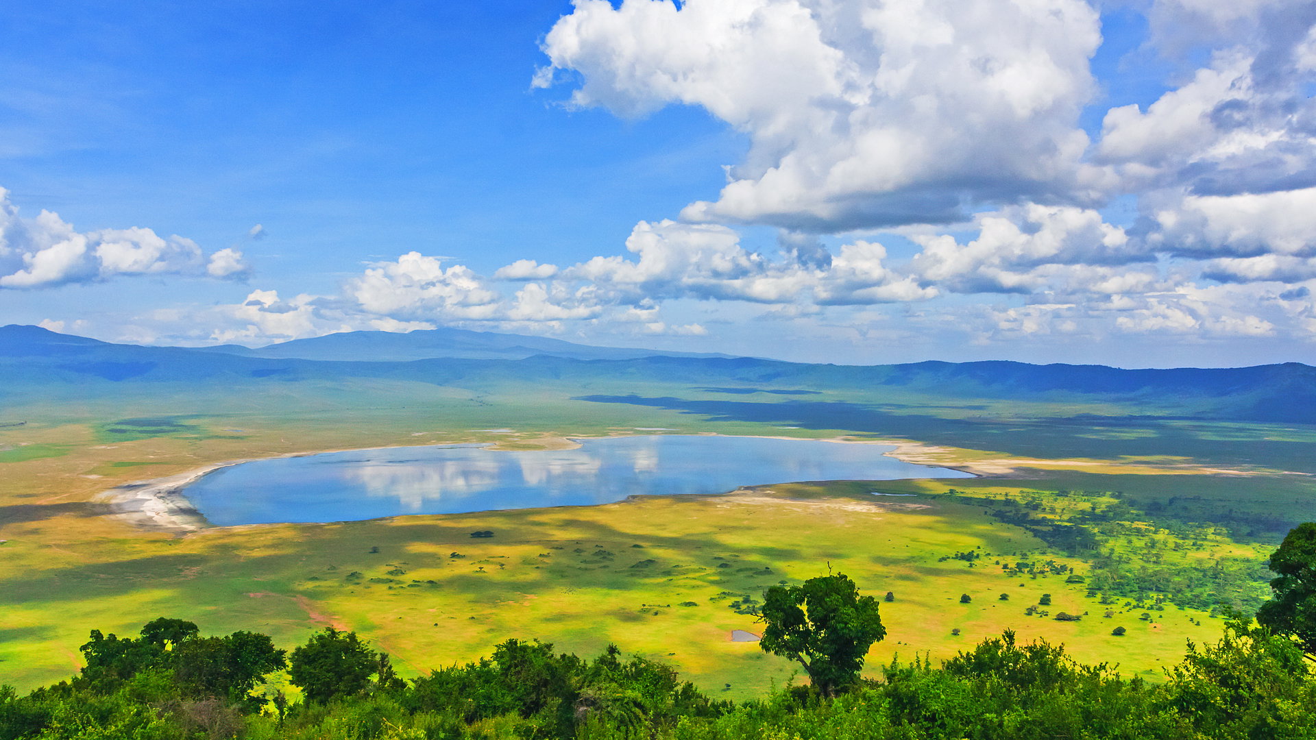 Ngorongoro Crater
