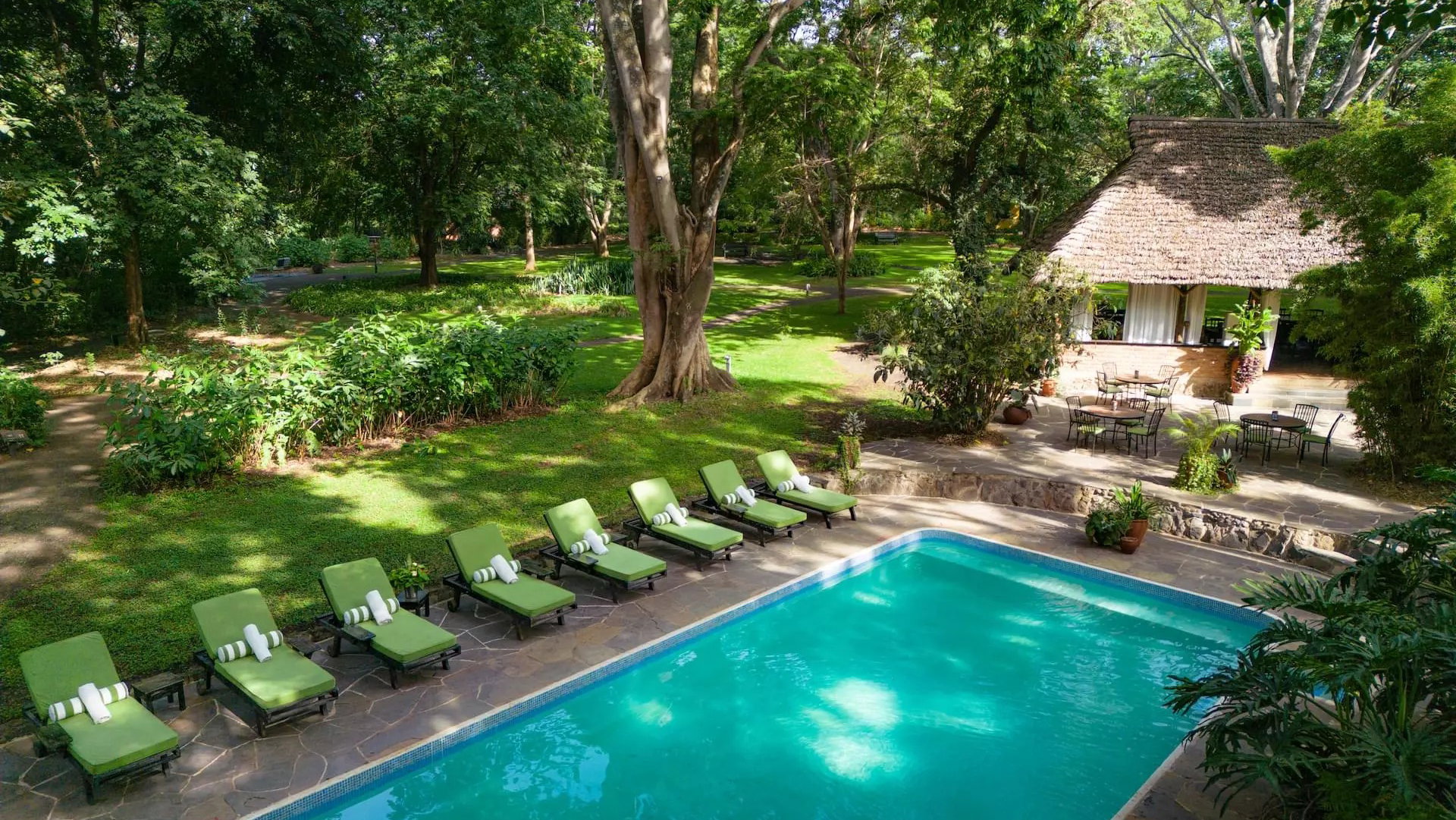 Tanzania Safari   Beach Escape