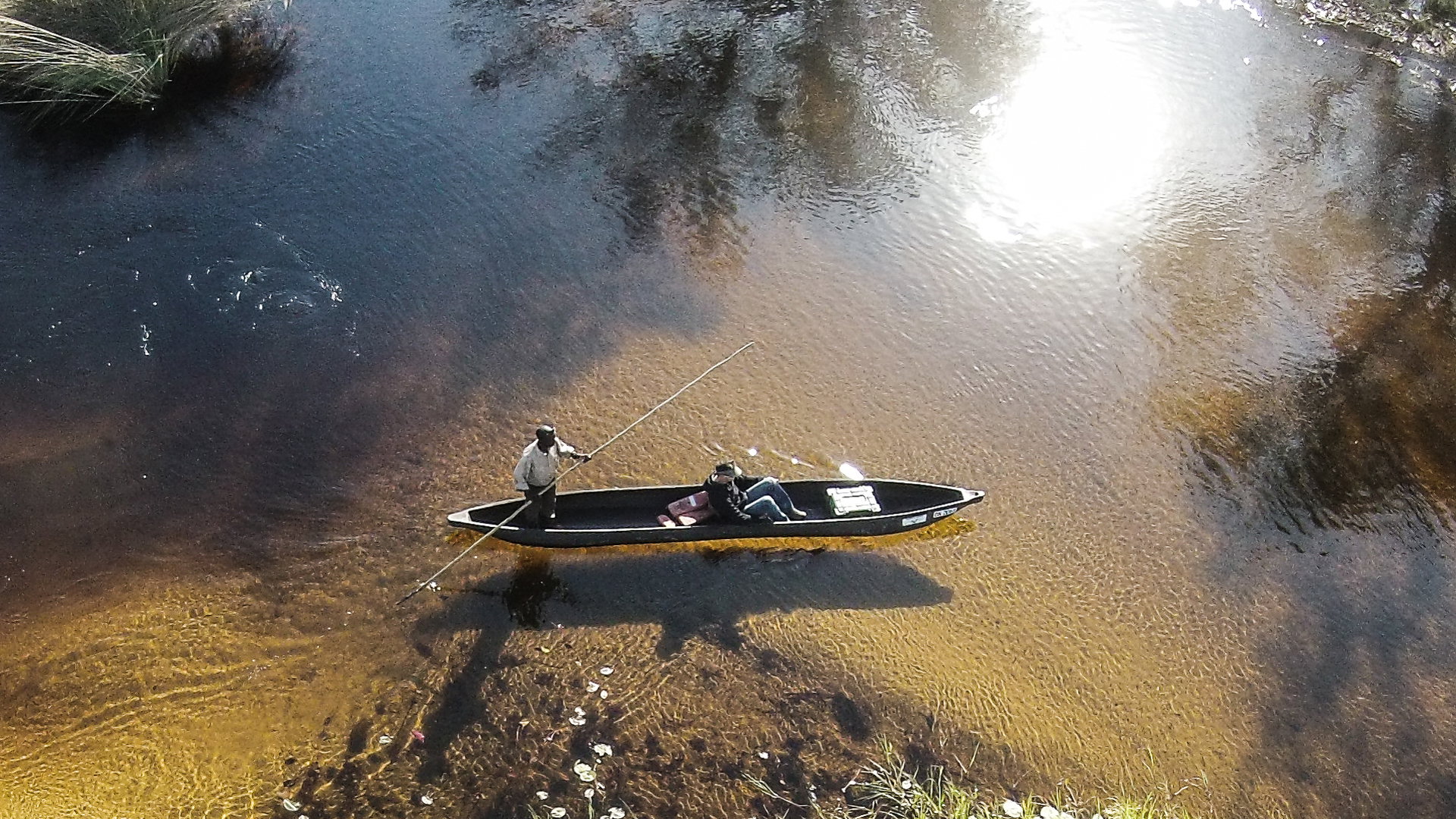 Moremi Crossing