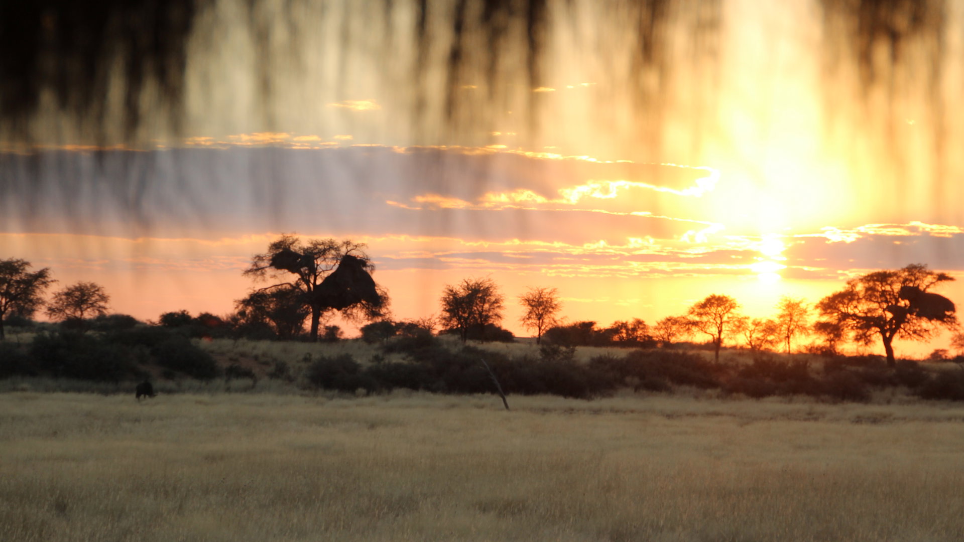 Kalahari Red Dunes Lodge