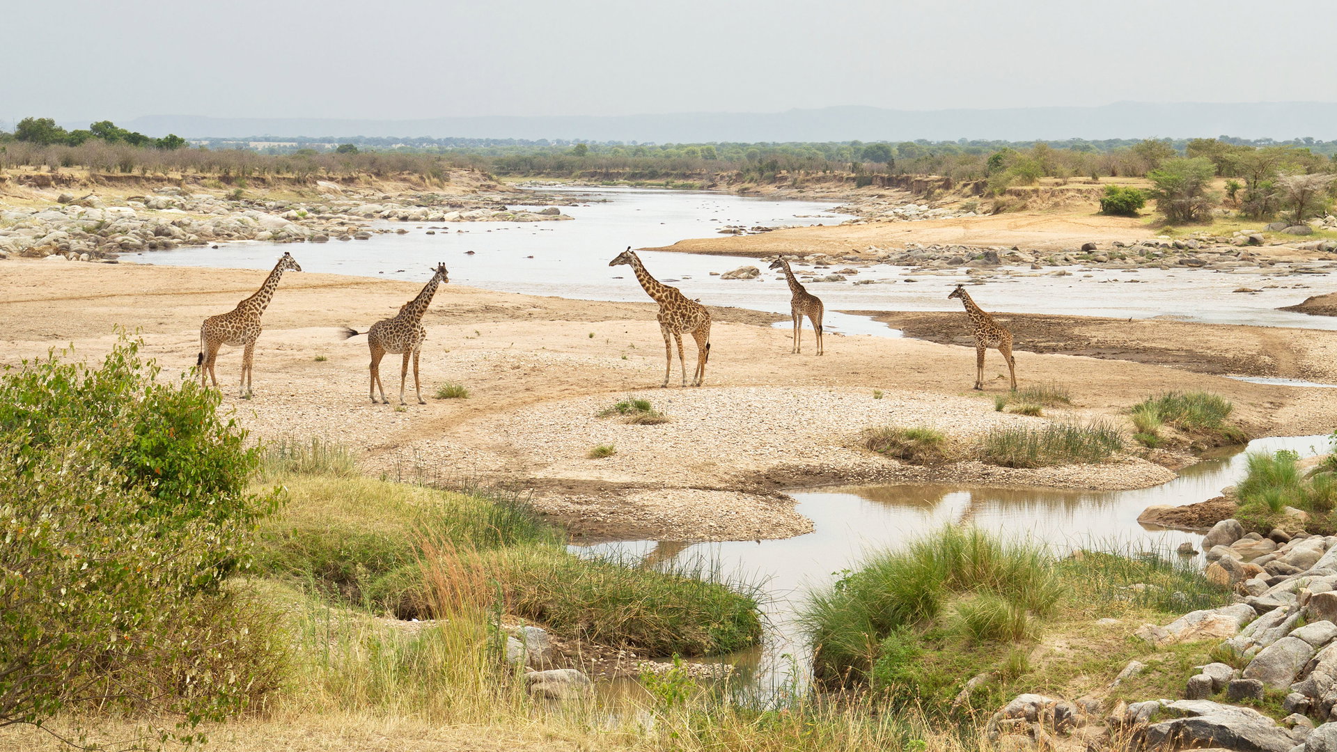 Northern Serengeti