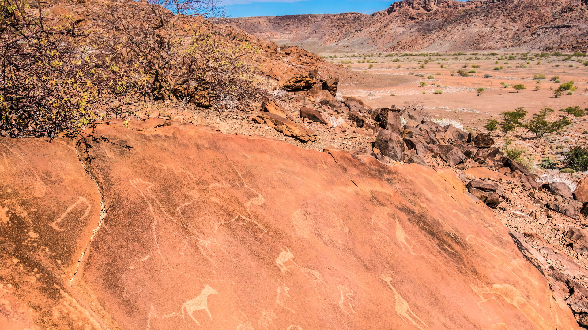 Namibia in Style — Luxury Fly-In