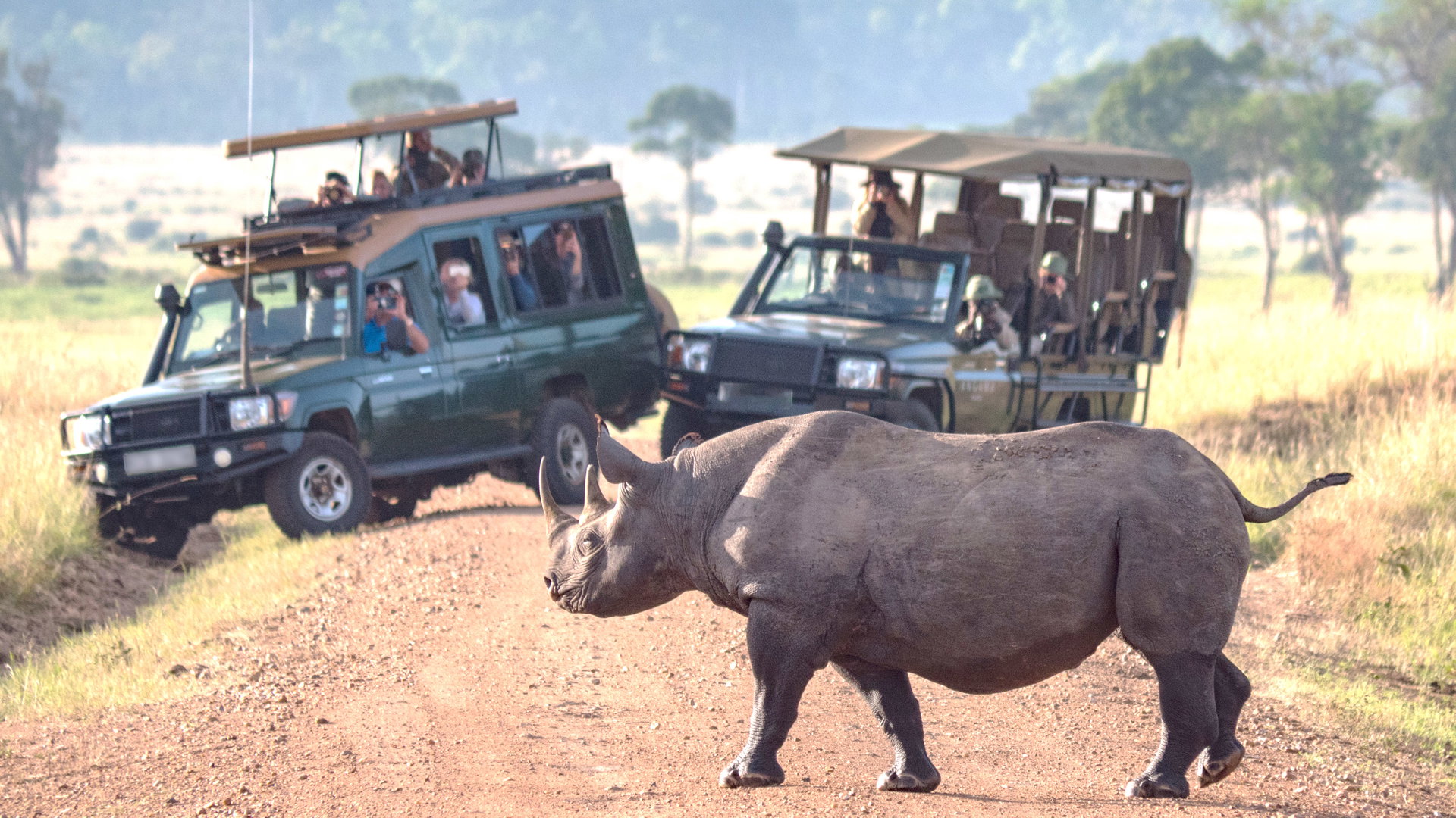 East Africa Safari Adventure