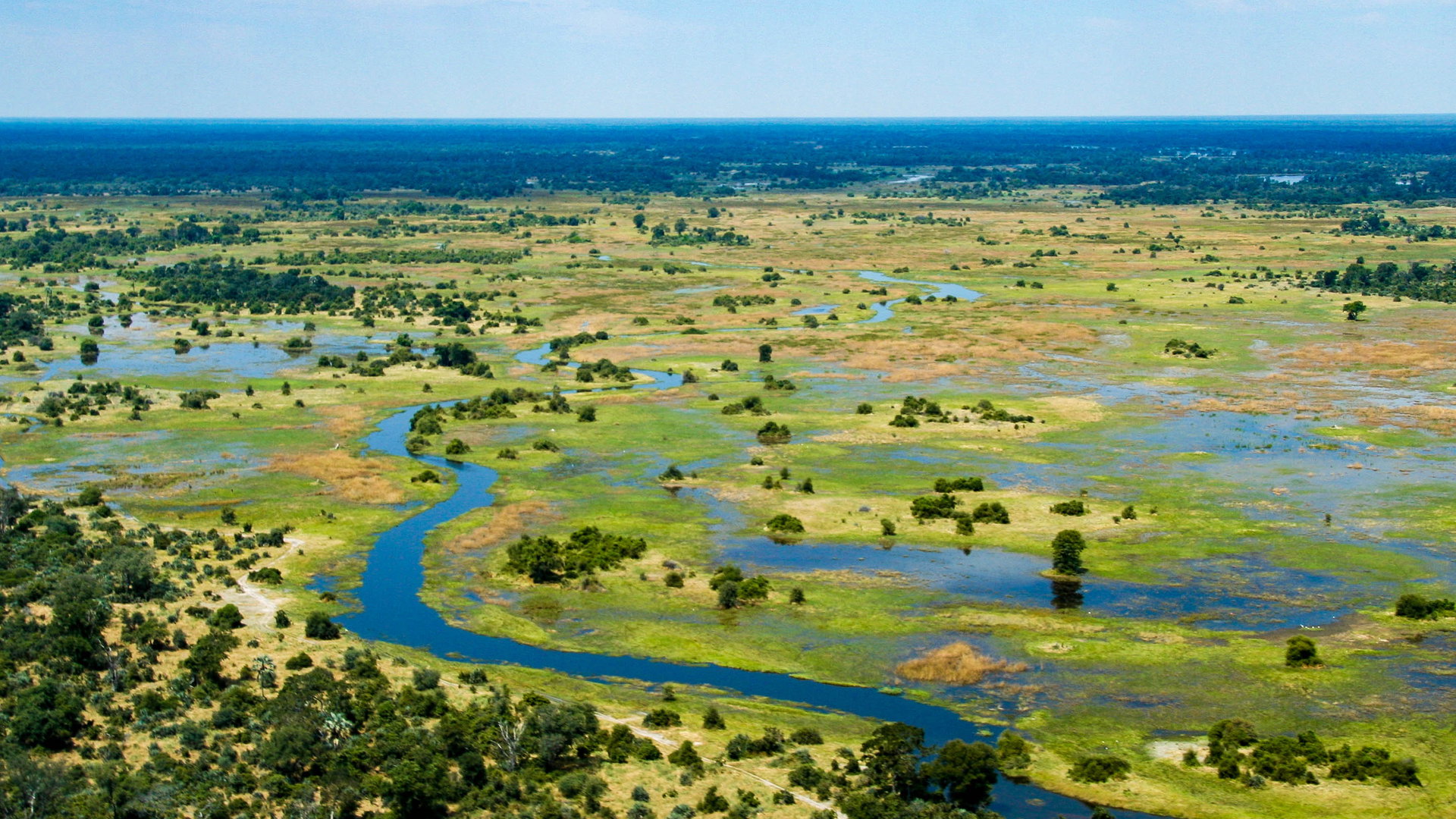 Okavango Delta