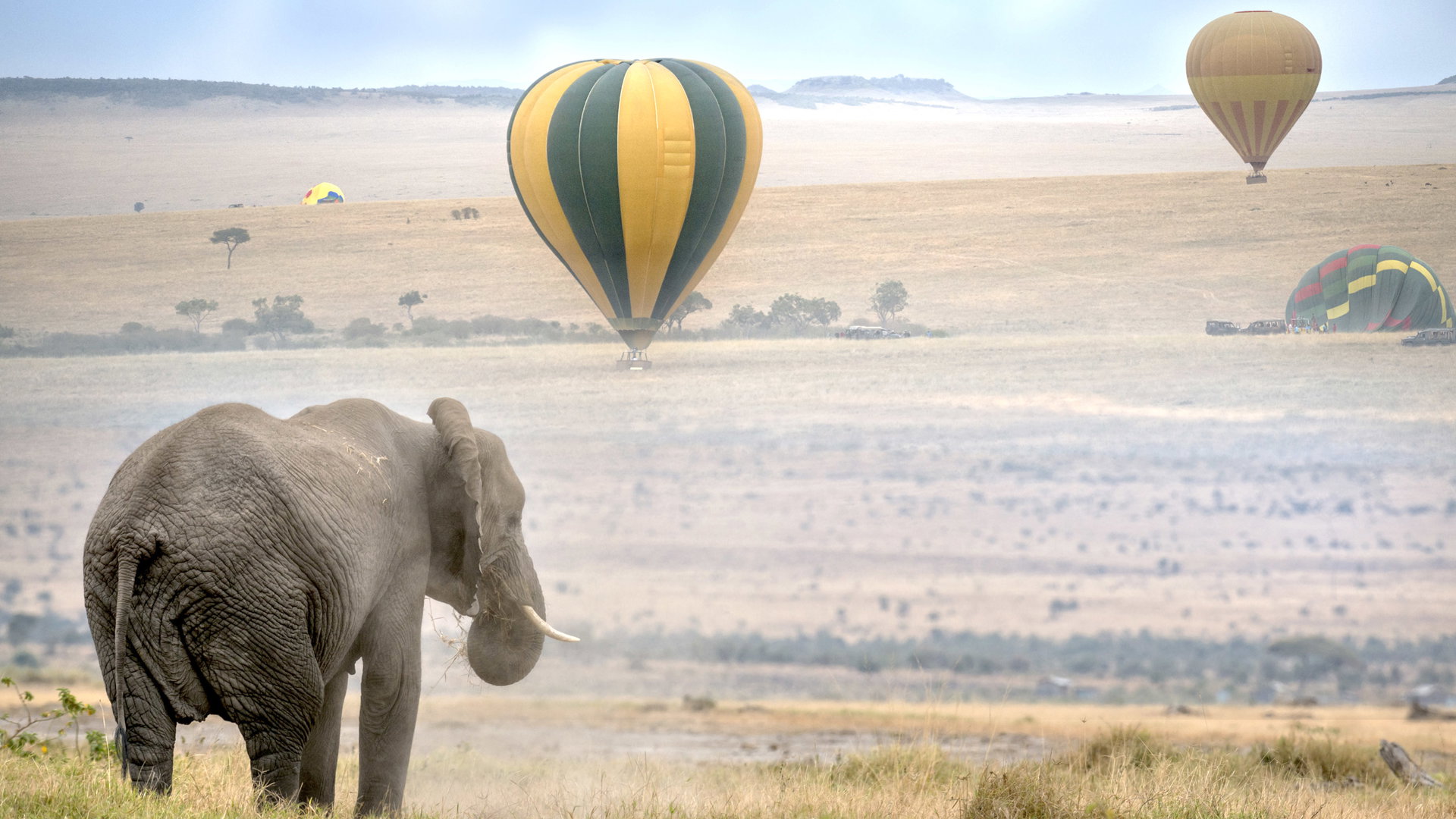 Masai Mara National Reserve