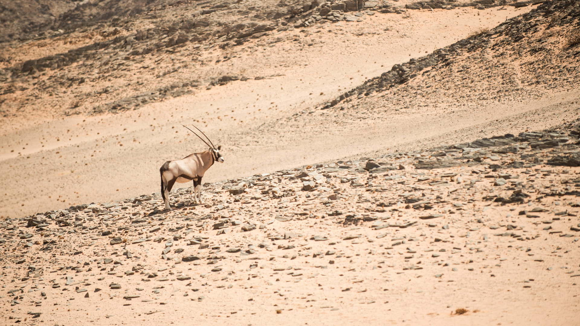 Namibia in Style — Luxury Fly-In