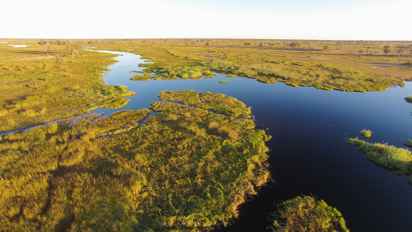 Moremi Crossing