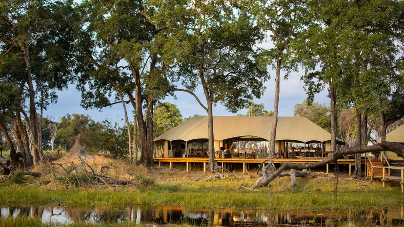 Duba Explorers Camp
