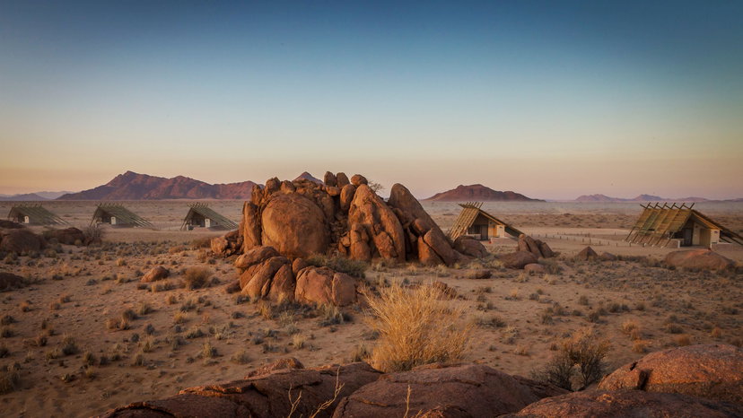 Desert Quiver Camp